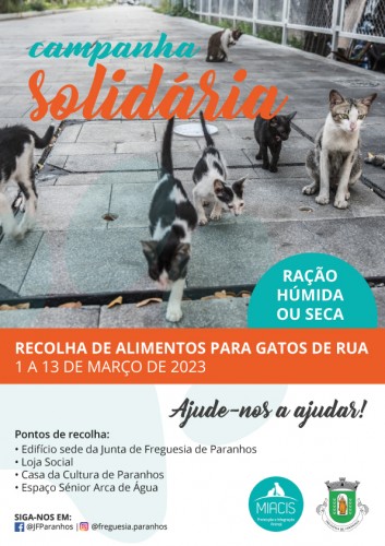 Campanha Solidária - Recolha de alimentos para gatos de rua