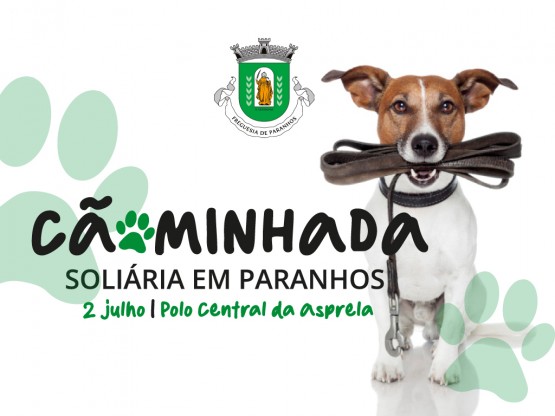 CÃOMINHADA Solidária em Paranhos 2023 | Inscrições abertas
